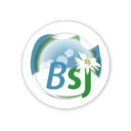 Logo de l'entreprise 'Blanchisserie St Jean'